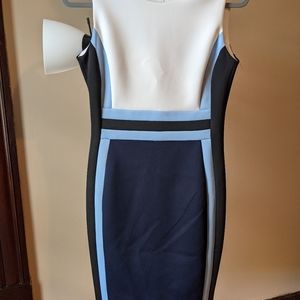 FREE SHIPPING Calvin Klein Business Dress
